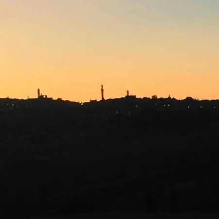 La Dogana . * Siena