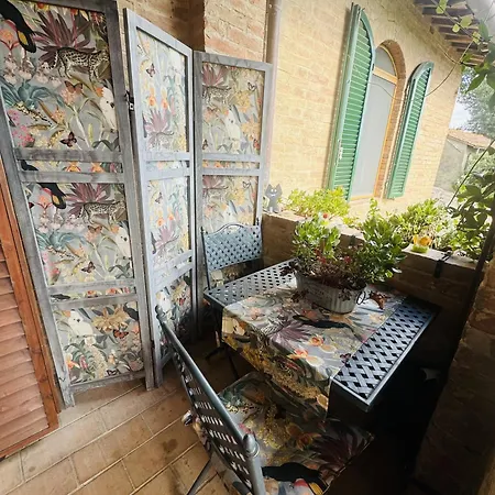 La Dogana . * Siena