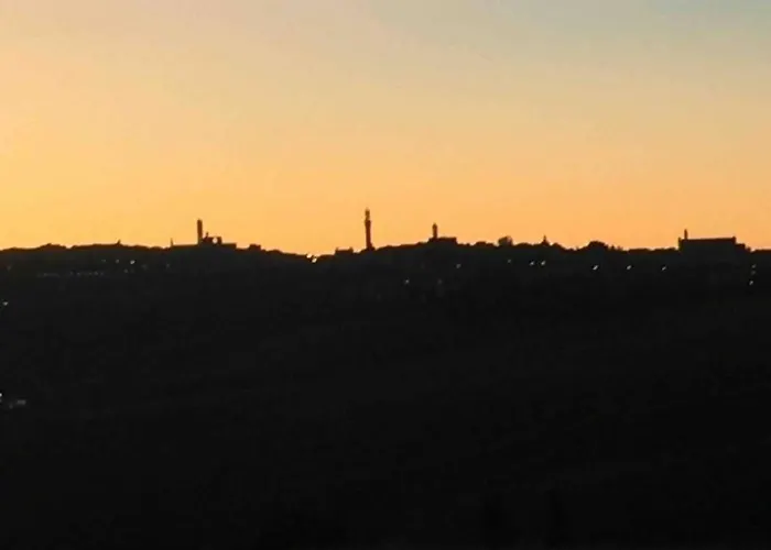 La Dogana . * Siena